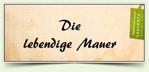 Die lebendige Mauer