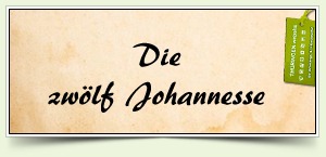 Die zwölf Johannesse
