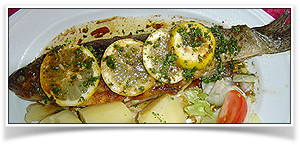 Forelle nach Müllerin Art