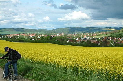 Nordthüringen Sondershausen
