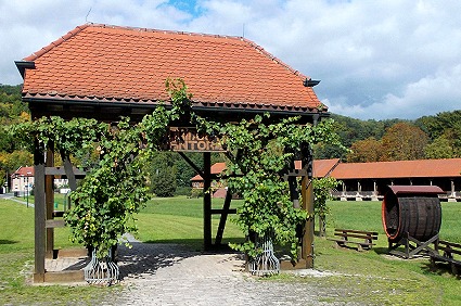 Saaleland Thüringen Bad Sulza Weintor