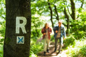 Wandern Fernsichten Rennsteig