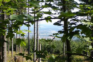 Wandern Ilmenau Thüringen