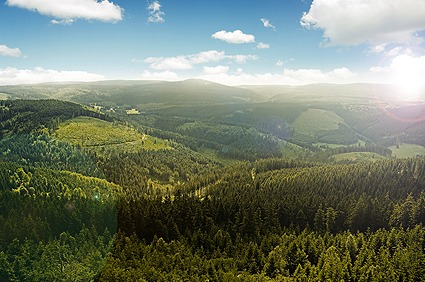 Thüringer Wald Blick