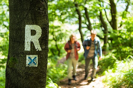 Thüringer Wald Rennsteig