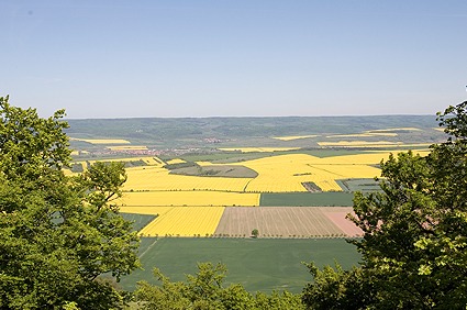 Kyffhäuser Goldene Aue