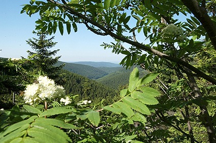 Rennsteig Rennsteiggarten Oberhof