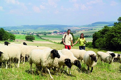 Thüringer Rhön Rhönschafe