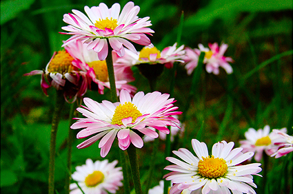 Altendambach Thüringen