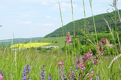 Altersbach Thüringen