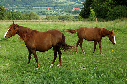Andenhausen Thüringen