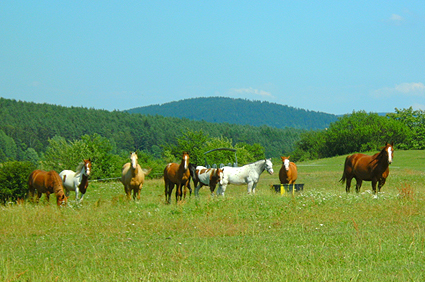 Auengrund Thüringen
