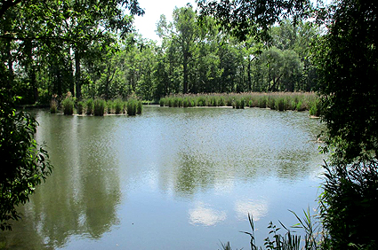 Bad Tennstedt Thüringen